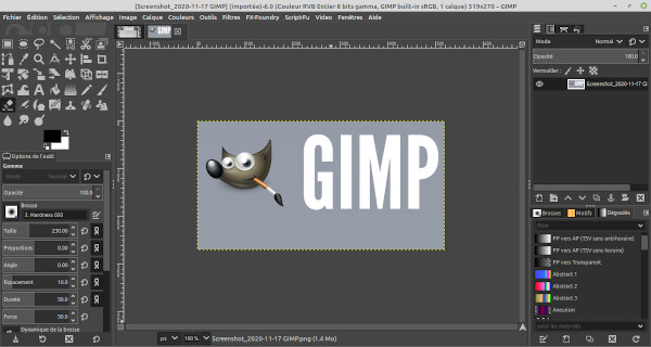 gimp