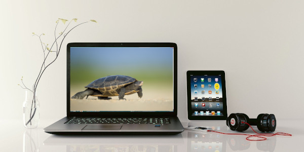 windows lent