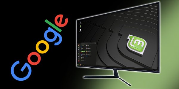 google linux mint